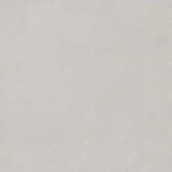 BioStone20 SNS®
