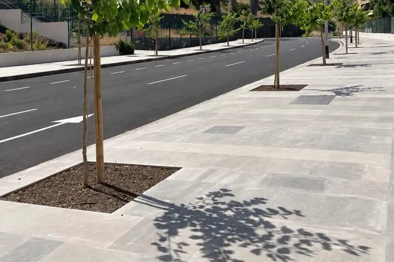 Tree-lined pavement beside an avenue with Stone20-PMI® flooring