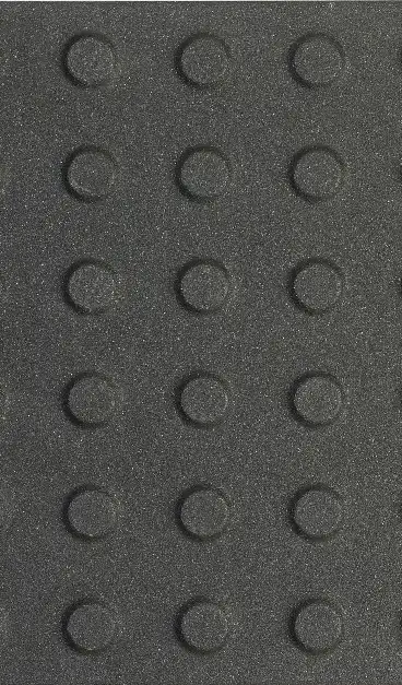 Black Tactile15® tile with raised warning studs